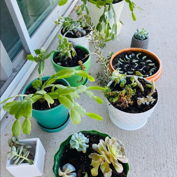 Posher, Amelia G - Picture 7 of 12